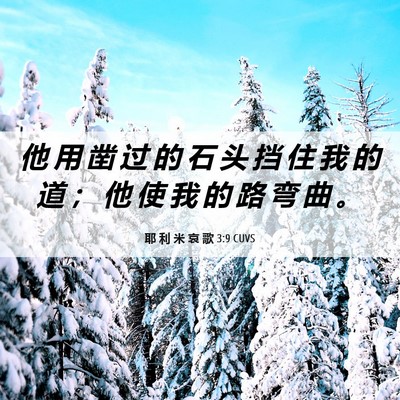 Picture 06 - 耶 利 米 哀 歌 3:9 CUVS - 他 用 凿 过 的 石 头 挡 住 我 的 道 - Bible Verse Picture
