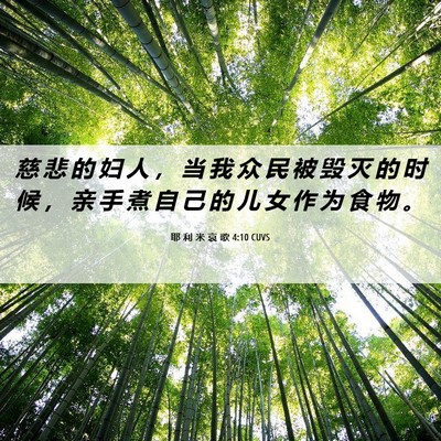 Picture 06 - 耶 利 米 哀 歌 4:10 CUVS - 慈 悲 的 妇 人 ， 当 我 众 民 被 毁 - Bible Verse Picture