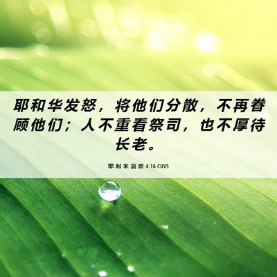 Picture 06 - 耶 利 米 哀 歌 4:16 CUVS - 耶 和 华 发 怒 ， 将 他 们 分 散 ， - Bible Verse Picture