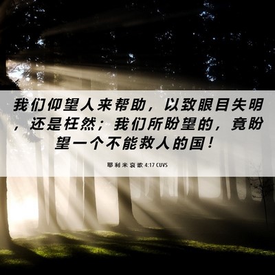 Picture 06 - 耶 利 米 哀 歌 4:17 CUVS - 我 们 仰 望 人 来 帮 助 ， 以 致 眼 - Bible Verse Picture
