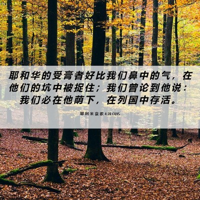 Picture 06 - 耶 利 米 哀 歌 4:20 CUVS - 耶 和 华 的 受 膏 者 好 比 我 们 鼻 - Bible Verse Picture