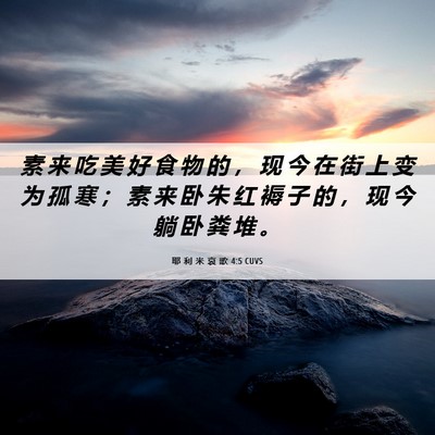 Picture 06 - 耶 利 米 哀 歌 4:5 CUVS - 素 来 吃 美 好 食 物 的 ， 现 今 在 - Bible Verse Picture