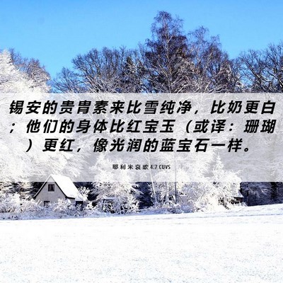 Picture 06 - 耶 利 米 哀 歌 4:7 CUVS - 锡 安 的 贵 胄 素 来 比 雪 纯 净 ， - Bible Verse Picture