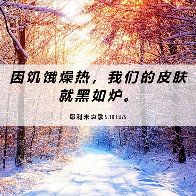 Picture 06 - 耶 利 米 哀 歌 5:10 CUVS - 因 饥 饿 燥 热 ， 我 们 的 皮 肤 就 - Bible Verse Picture