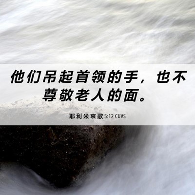 Picture 06 - 耶 利 米 哀 歌 5:12 CUVS - 他 们 吊 起 首 领 的 手 ， 也 不 尊 - Bible Verse Picture