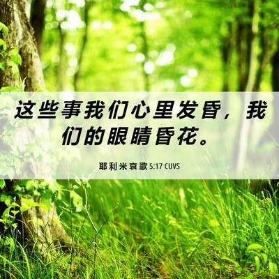 Picture 06 - 耶 利 米 哀 歌 5:17 CUVS - 这 些 事 我 们 心 里 发 昏 ， 我 们 - Bible Verse Picture