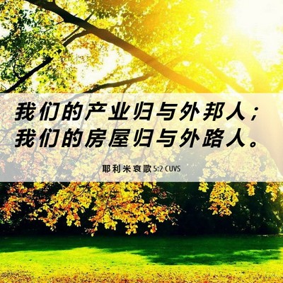 Picture 06 - 耶 利 米 哀 歌 5:2 CUVS - 我 们 的 产 业 归 与 外 邦 人 ； 我 - Bible Verse Picture