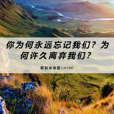 Picture 06 - 耶 利 米 哀 歌 5:20 CUVS - 你 为 何 永 远 忘 记 我 们 ？ 为 何 - Bible Verse Picture