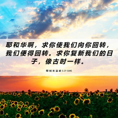 Picture 06 - 耶 利 米 哀 歌 5:21 CUVS - 耶 和 华 啊 ， 求 你 使 我 们 向 你 - Bible Verse Picture