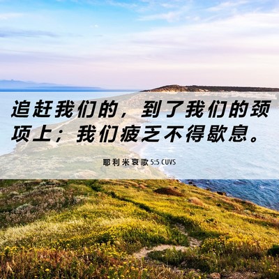 Picture 06 - 耶 利 米 哀 歌 5:5 CUVS - 追 赶 我 们 的 ， 到 了 我 们 的 颈 - Bible Verse Picture