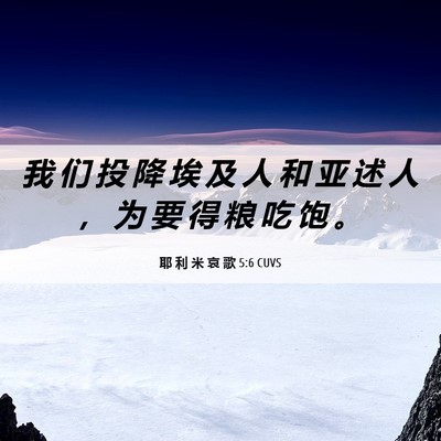 Picture 06 - 耶 利 米 哀 歌 5:6 CUVS - 我 们 投 降 埃 及 人 和 亚 述 人 ， - Bible Verse Picture