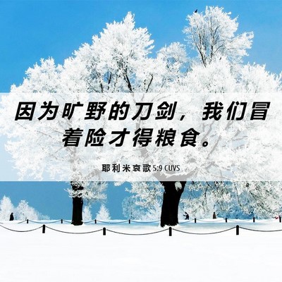 Picture 06 - 耶 利 米 哀 歌 5:9 CUVS - 因 为 旷 野 的 刀 剑 ， 我 们 冒 着 - Bible Verse Picture