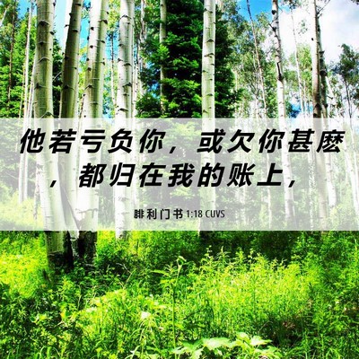 Picture 06 - 腓 利 门 书 1:18 CUVS - 他 若 亏 负 你 ， 或 欠 你 甚 麽 ， - Bible Verse Picture