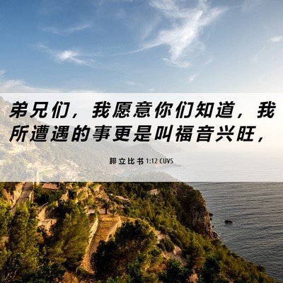 Picture 06 - 腓 立 比 书 1:12 CUVS - 弟 兄 们 ， 我 愿 意 你 们 知 道 ， - Bible Verse Picture