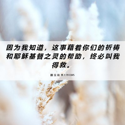 Picture 06 - 腓 立 比 书 1:19 CUVS - 因 为 我 知 道 ， 这 事 藉 着 你 们 - Bible Verse Picture