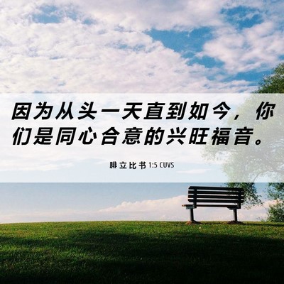 Picture 06 - 腓 立 比 书 1:5 CUVS - 因 为 从 头 一 天 直 到 如 今 ， 你 - Bible Verse Picture