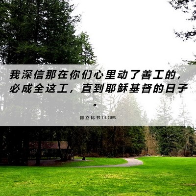 Picture 06 - 腓 立 比 书 1:6 CUVS - 我 深 信 那 在 你 们 心 里 动 了 善 - Bible Verse Picture
