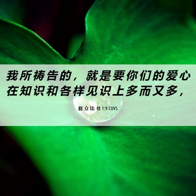 Picture 06 - 腓 立 比 书 1:9 CUVS - 我 所 祷 告 的 ， 就 是 要 你 们 的 - Bible Verse Picture