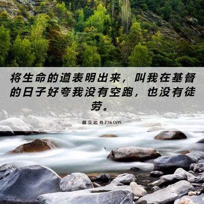 Picture 06 - 腓 立 比 书 2:16 CUVS - 将 生 命 的 道 表 明 出 来 ， 叫 我 - Bible Verse Picture