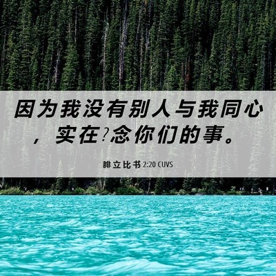 Picture 06 - 腓 立 比 书 2:20 CUVS - 因 为 我 没 有 别 人 与 我 同 心 ， - Bible Verse Picture