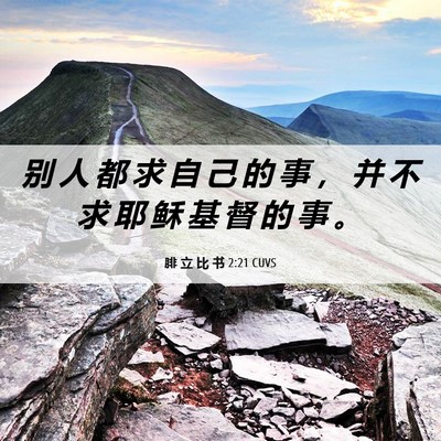 Picture 06 - 腓 立 比 书 2:21 CUVS - 别 人 都 求 自 己 的 事 ， 并 不 求 - Bible Verse Picture