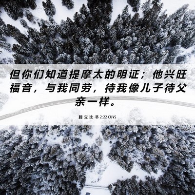 Picture 06 - 腓 立 比 书 2:22 CUVS - 但 你 们 知 道 提 摩 太 的 明 证 ； - Bible Verse Picture