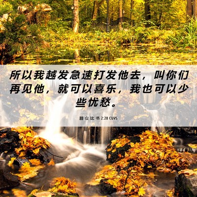 Picture 06 - 腓 立 比 书 2:28 CUVS - 所 以 我 越 发 急 速 打 发 他 去 ， - Bible Verse Picture
