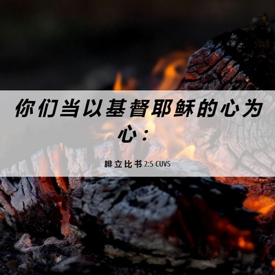 Picture 06 - 腓 立 比 书 2:5 CUVS - 你 们 当 以 基 督 耶 稣 的 心 为 心 - Bible Verse Picture
