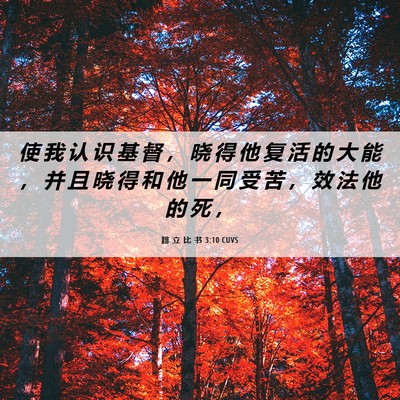 Picture 06 - 腓 立 比 书 3:10 CUVS - 使 我 认 识 基 督 ， 晓 得 他 复 活 - Bible Verse Picture