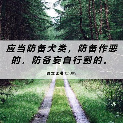 Picture 06 - 腓 立 比 书 3:2 CUVS - 应 当 防 备 犬 类 ， 防 备 作 恶 的 - Bible Verse Picture