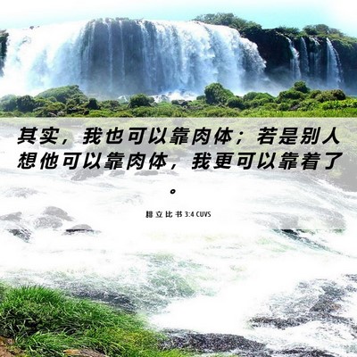 Picture 06 - 腓 立 比 书 3:4 CUVS - 其 实 ， 我 也 可 以 靠 肉 体 ； 若 - Bible Verse Picture