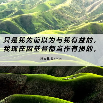 Picture 06 - 腓 立 比 书 3:7 CUVS - 只 是 我 先 前 以 为 与 我 有 益 的 - Bible Verse Picture