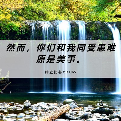 Picture 06 - 腓 立 比 书 4:14 CUVS - 然 而 ， 你 们 和 我 同 受 患 难 原 - Bible Verse Picture