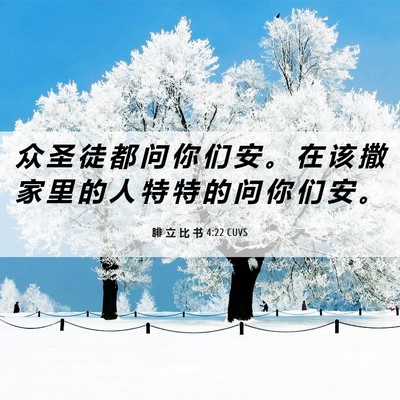 Picture 06 - 腓 立 比 书 4:22 CUVS - 众 圣 徒 都 问 你 们 安 。 在 该 撒 - Bible Verse Picture