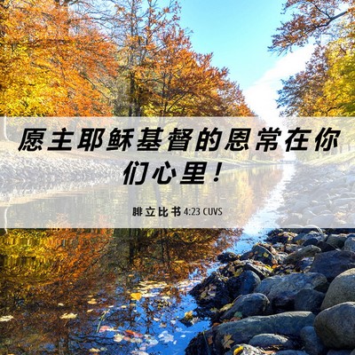 Picture 06 - 腓 立 比 书 4:23 CUVS - 愿 主 耶 稣 基 督 的 恩 常 在 你 们 - Bible Verse Picture