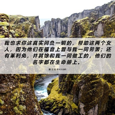 Picture 06 - 腓 立 比 书 4:3 CUVS - 我 也 求 你 这 真 实 同 负 一 轭 的 - Bible Verse Picture