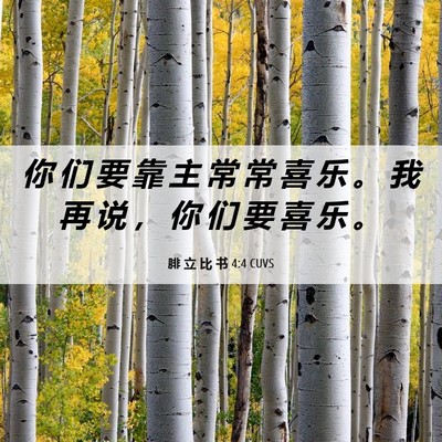 Picture 06 - 腓 立 比 书 4:4 CUVS - 你 们 要 靠 主 常 常 喜 乐 。 我 再 - Bible Verse Picture