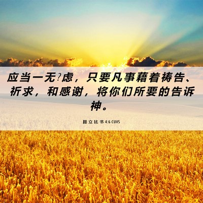 Picture 06 - 腓 立 比 书 4:6 CUVS - 应 当 一 无 ? 虑 ， 只 要 凡 事 藉 着 - Bible Verse Picture