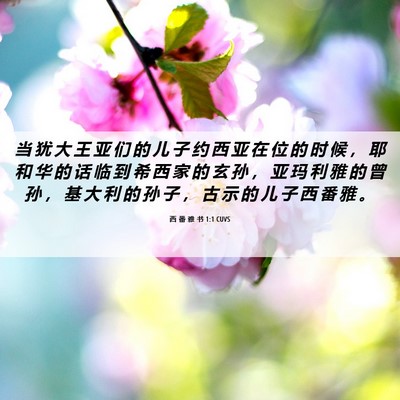 Picture 06 - 西 番 雅 书 1:1 CUVS - 当 犹 大 王 亚 们 的 儿 子 约 西 亚 - Bible Verse Picture
