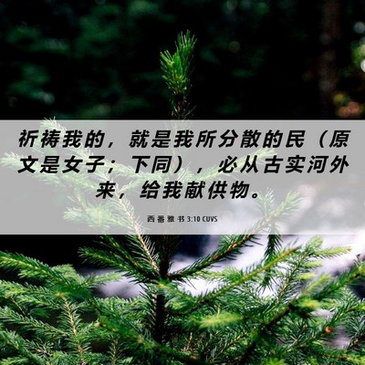 Picture 06 - 西 番 雅 书 3:10 CUVS - 祈 祷 我 的 ， 就 是 我 所 分 散 的 - Bible Verse Picture