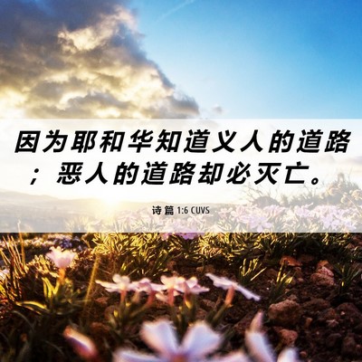 Picture 06 - 诗 篇 1:6 CUVS - 因 为 耶 和 华 知 道 义 人 的 道 路 - Bible Verse Picture