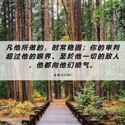 Picture 06 - 诗 篇 10:5 CUVS - 凡 他 所 做 的 ， 时 常 稳 固 ； 你 - Bible Verse Picture