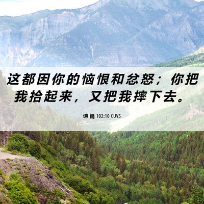 Picture 06 - 诗 篇 102:10 CUVS - 这 都 因 你 的 恼 恨 和 忿 怒 ； 你 - Bible Verse Picture