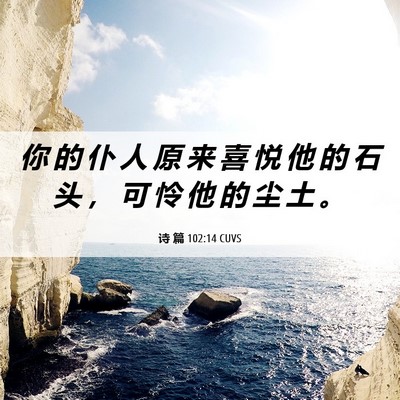 Picture 06 - 诗 篇 102:14 CUVS - 你 的 仆 人 原 来 喜 悦 他 的 石 头 - Bible Verse Picture