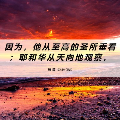 Picture 06 - 诗 篇 102:19 CUVS - 因 为 ， 他 从 至 高 的 圣 所 垂 看 - Bible Verse Picture