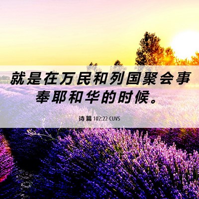 Picture 06 - 诗 篇 102:22 CUVS - 就 是 在 万 民 和 列 国 聚 会 事 奉 - Bible Verse Picture