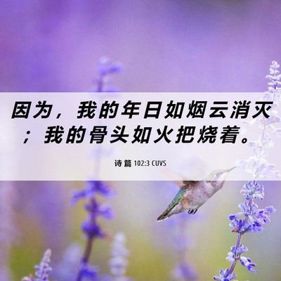 Picture 06 - 诗 篇 102:3 CUVS - 因 为 ， 我 的 年 日 如 烟 云 消 灭 - Bible Verse Picture