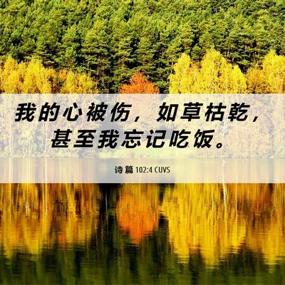 Picture 06 - 诗 篇 102:4 CUVS - 我 的 心 被 伤 ， 如 草 枯 乾 ， 甚 - Bible Verse Picture