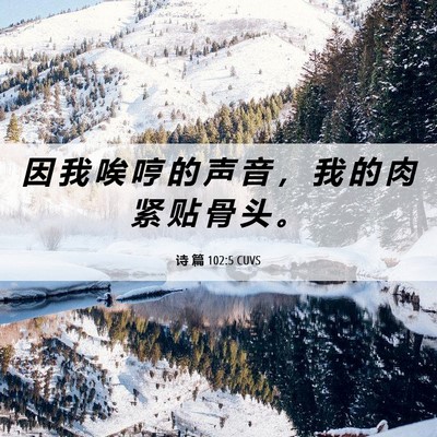 Picture 06 - 诗 篇 102:5 CUVS - 因 我 唉 哼 的 声 音 ， 我 的 肉 紧 - Bible Verse Picture