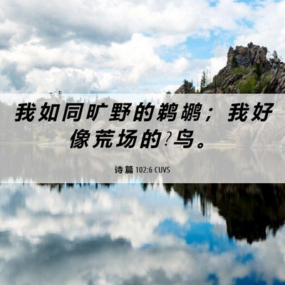 Picture 06 - 诗 篇 102:6 CUVS - 我 如 同 旷 野 的 鹈 鹕 ； 我 好 像 - Bible Verse Picture